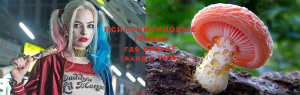 2c-b Нягань